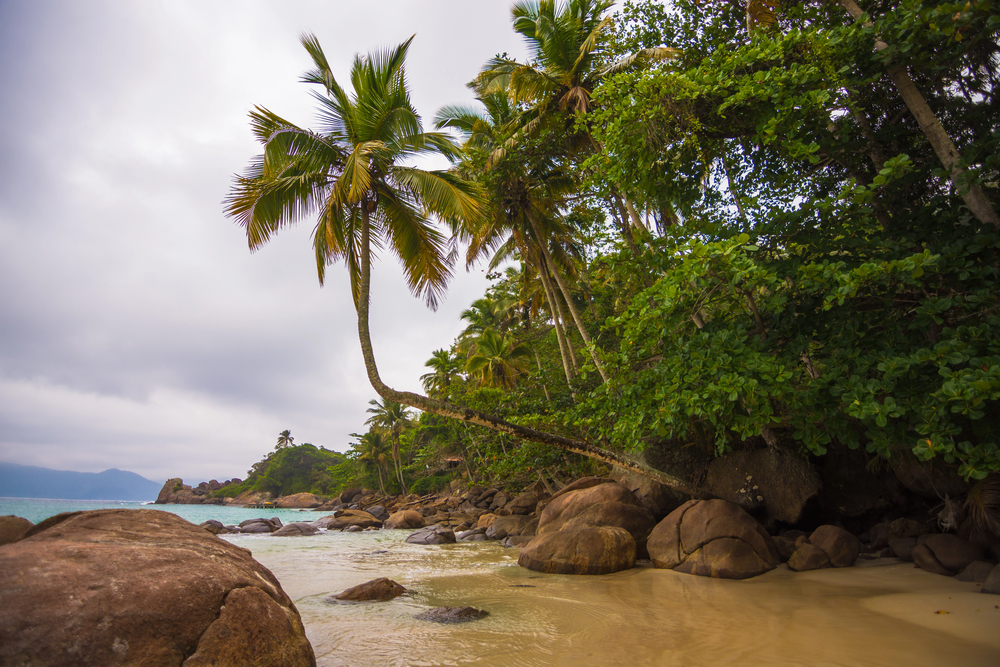 来自伊利亚格兰德岛的transfers